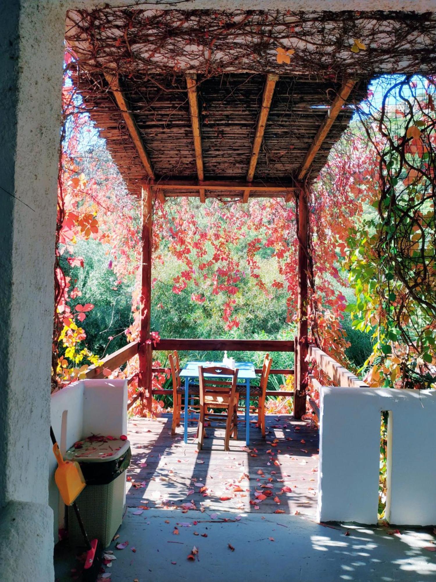 Oleander'S Garden Traditional Cretan Cottage Ferma Buitenkant foto
