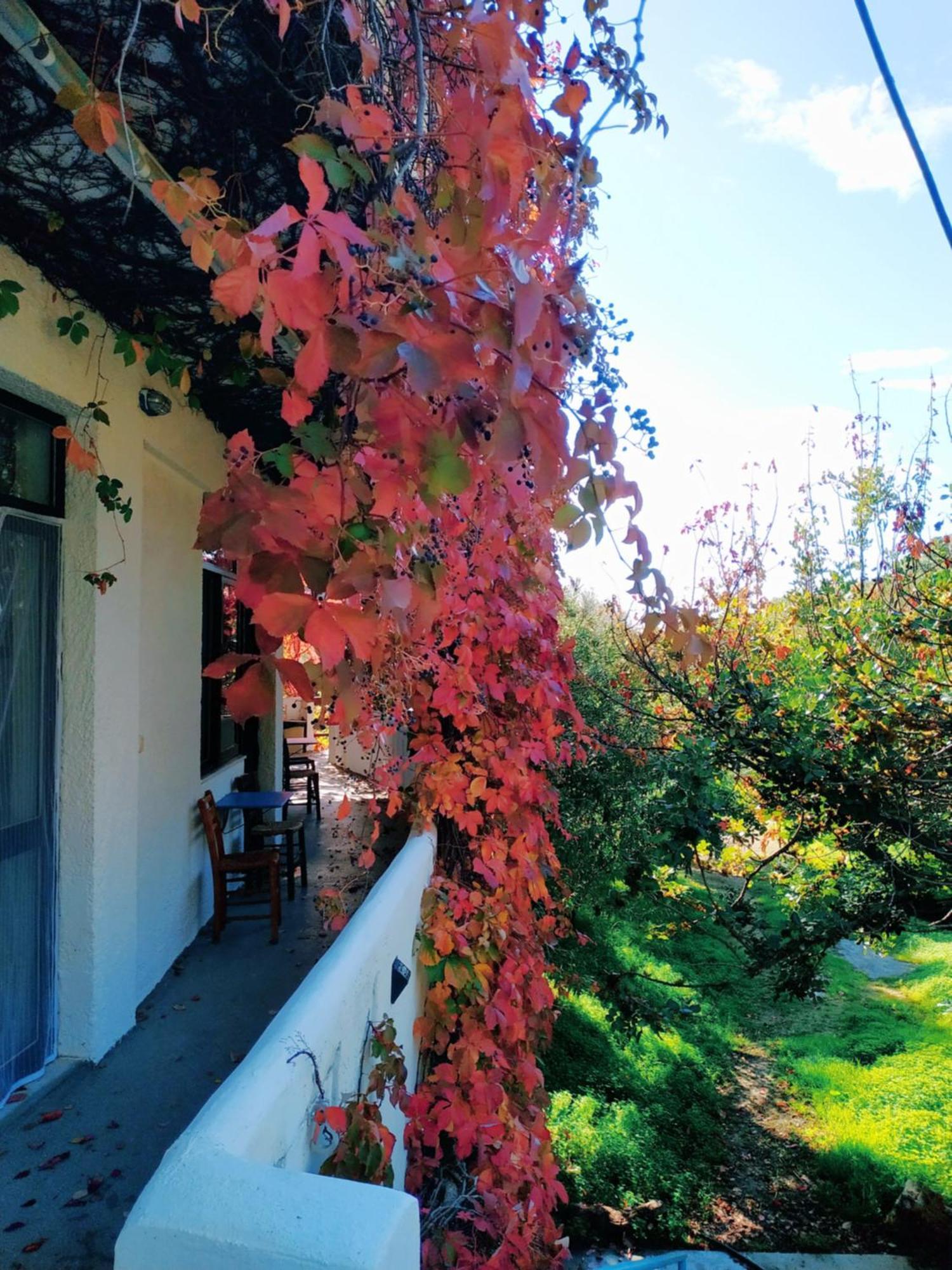 Oleander'S Garden Traditional Cretan Cottage Ferma Buitenkant foto